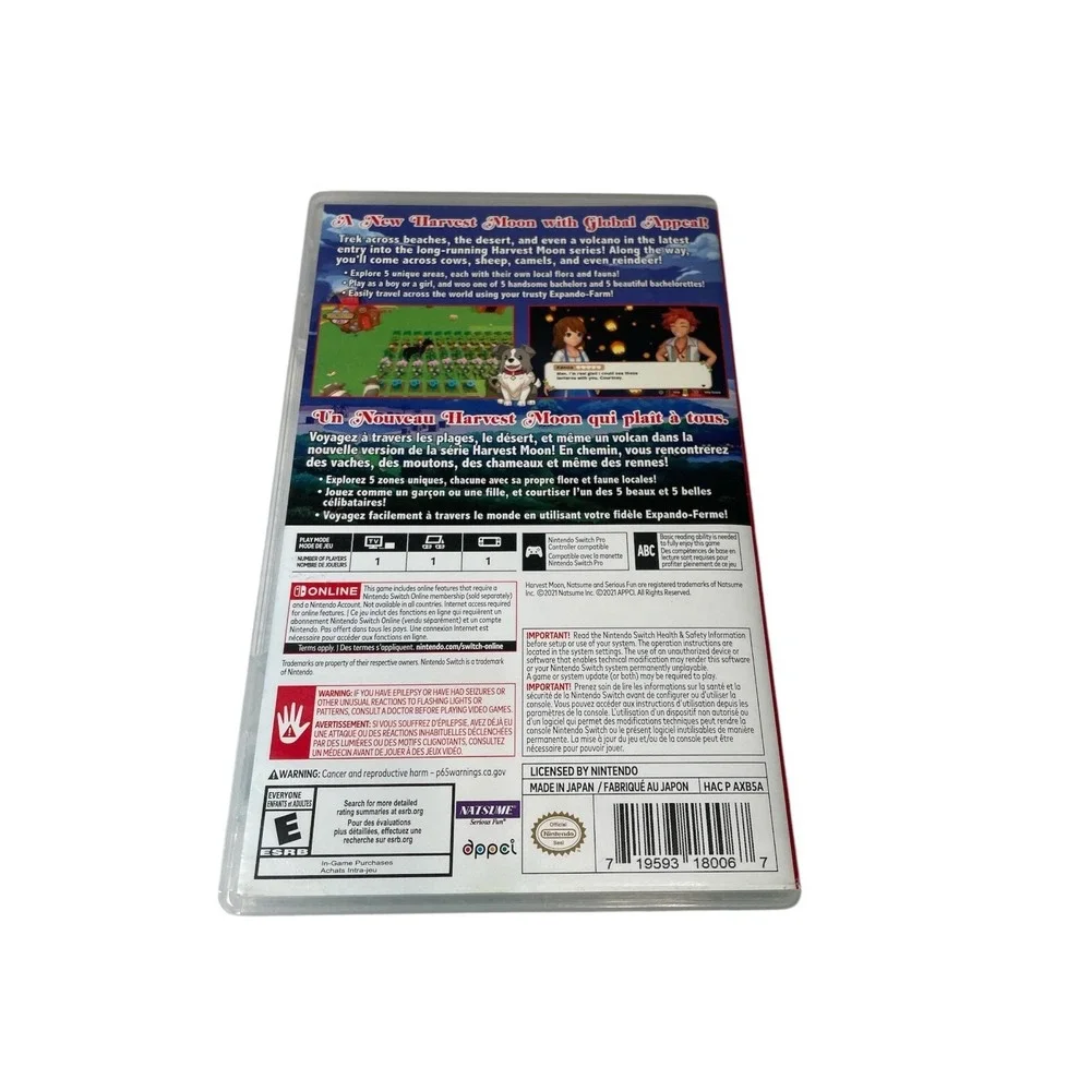 Natsume platform nintendo
